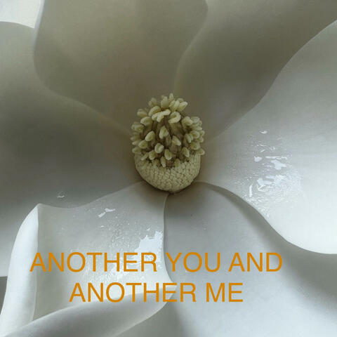 ANOTHER YOU AND ANOTHER ME