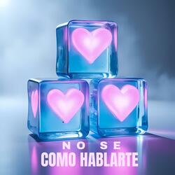 No Sé Cómo Hablarte