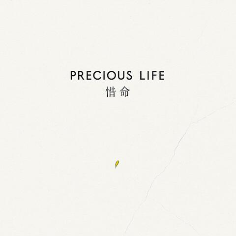 Precious Life
