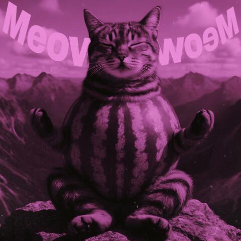 Meow Meow Funk