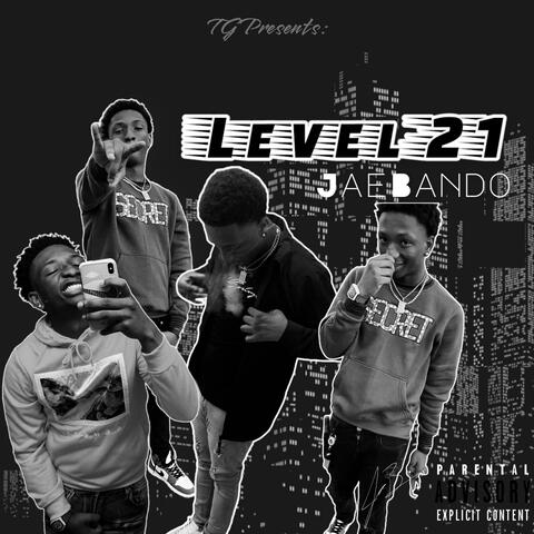 Level 21