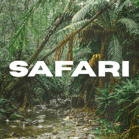 Safari