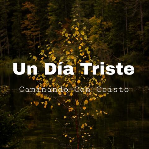Un Dia Triste