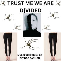 TRUST ME WE ARE DIVIDED