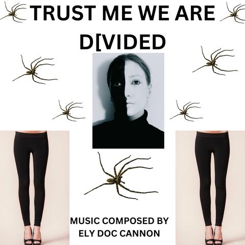 TRUST ME WE ARE DIVIDED