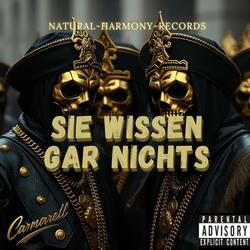 Sie wissen gar nichts