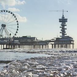 Scheveningen Shuffle