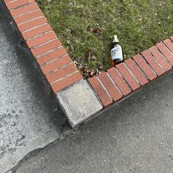 Gluttonous (3 13 23)