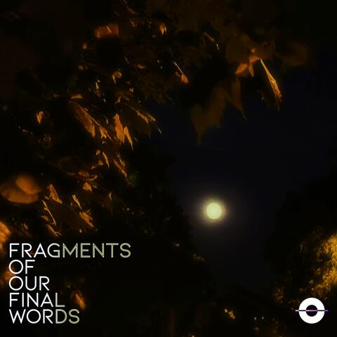Fragments of Our Final Words