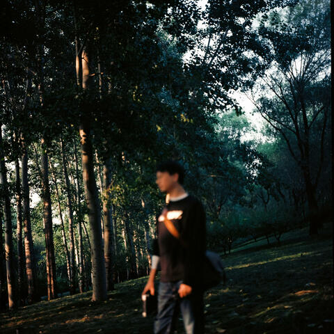 HEADLIGHTS