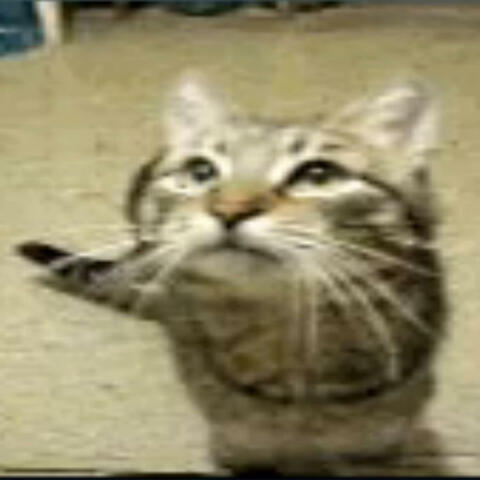 careless whiskers