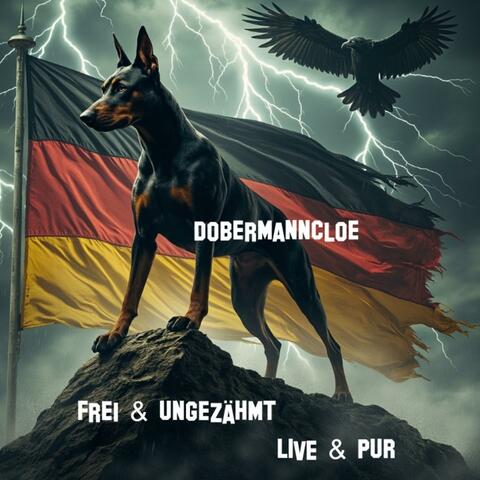 Frei & Ungezähmt
