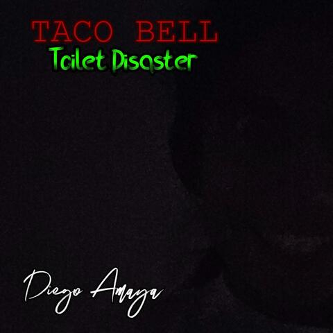 Taco Bell Toilet Disaster