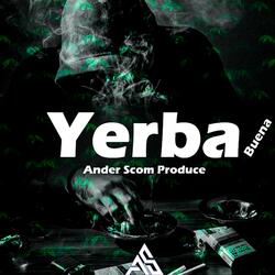 Yerba Buena