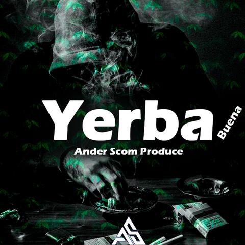 Yerba Buena