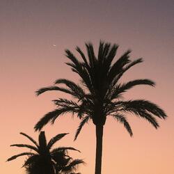 Infinite