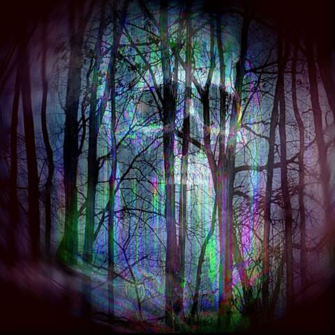 Faces in the Dark