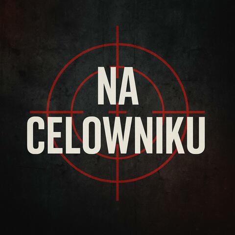 Na Celowniku
