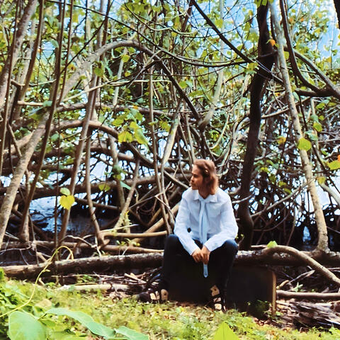 lost in the forest