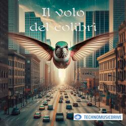 Il volo del colibrì