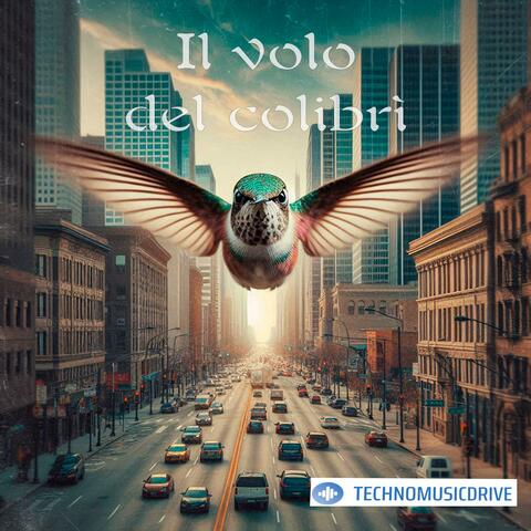 Il volo del colibrì