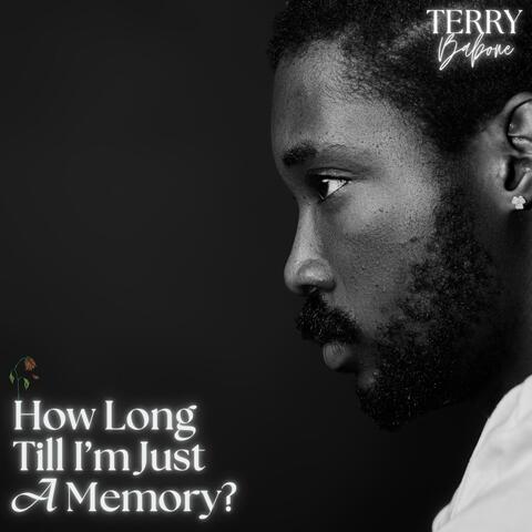 HOW LONG TILL I'M JUST A MEMORY?