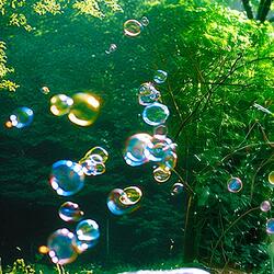 Never Felt This Way (Radio Edit)