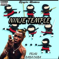 Ninje Temple (feat. Fela2)