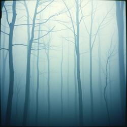 Cầu vồng may mắn