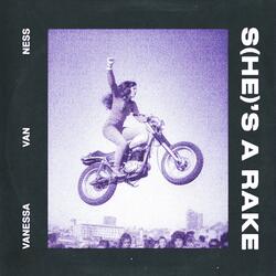 S(he)'s a Rake (Radio Edit)