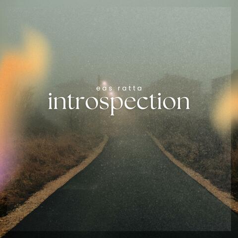 introspection
