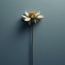 Bloom again (Special Version)