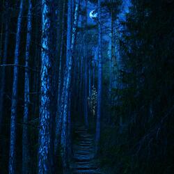 Calm Paradise