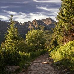 Fading Trails