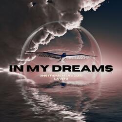 In My Dreams (Instrumental Cut)