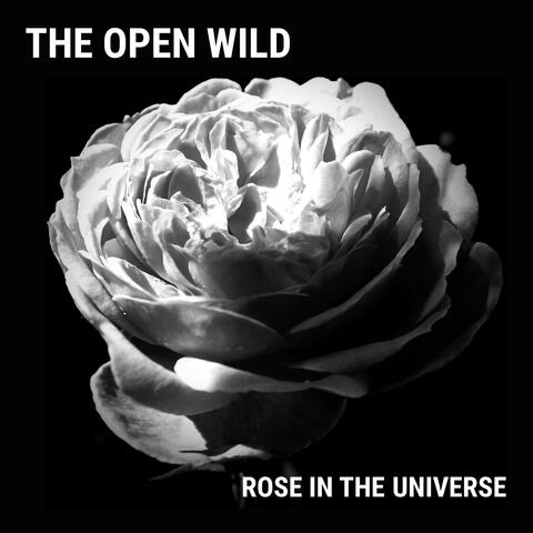 Rose In The Universe