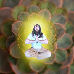 Pflanzen haben auch Gefühle