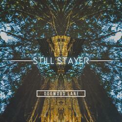 Dogwood Lane (feat. Alan Rigdon)