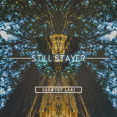 Dogwood Lane (feat. Alan Rigdon)