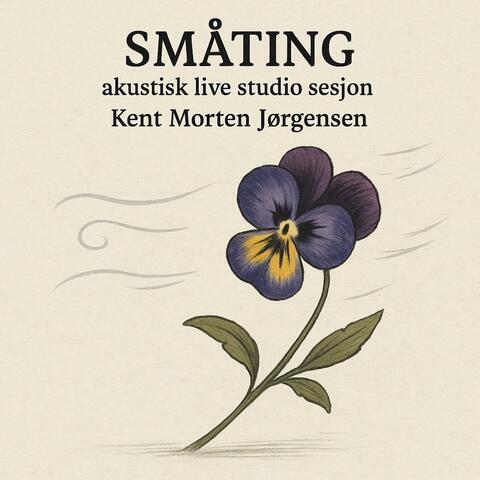 Småting (Akustisk live studio sesjon)