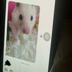 u movin slow! prod willvercetti