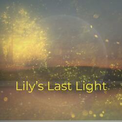 Lily's Last Light