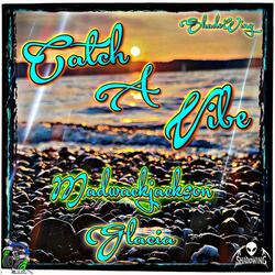 Catch A Vibe (feat. Glacia & ShadoWing)