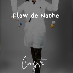 Flow de Noche