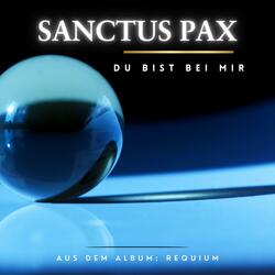 Du bist bei mir (Radio Edit)