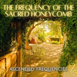 The Frequency of The Sacred Honeycomb (Frequency Shot)