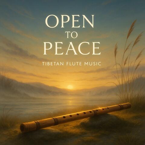 Open to Peace