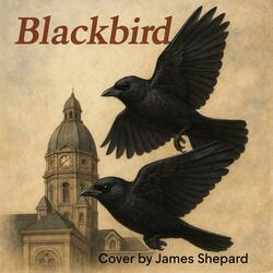 BLACKBIRD