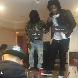 2manyhoes (feat. molly)