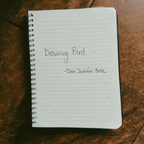Drowning Bird (Acoustic)